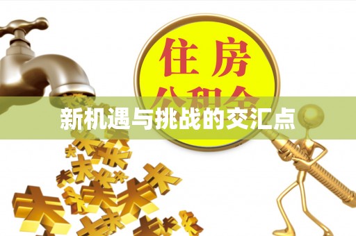 城区新机遇与挑战的交汇点