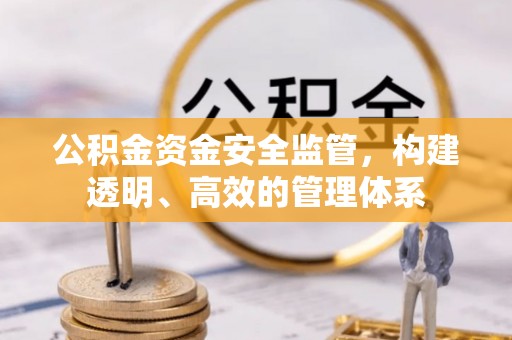 城区公积金资金安全监管，构建透明、高效的管理体系