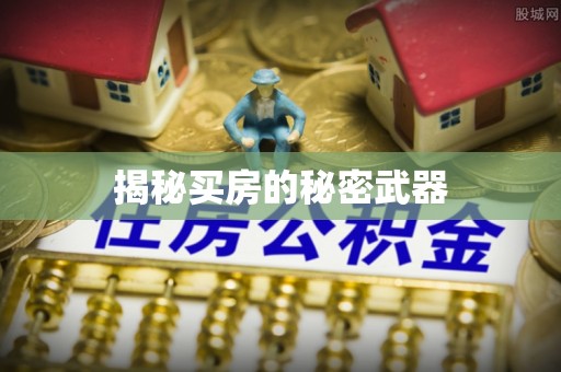 城区揭秘买房的秘密武器