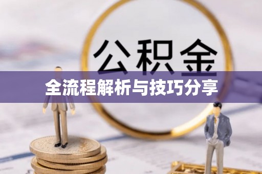 城区全流程解析与技巧分享